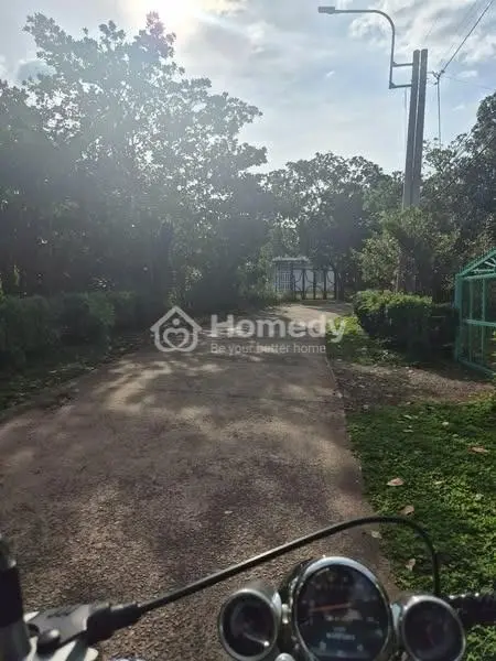 Kẹt Tiền - Cần Bán Gấp Mảnh Đất Vườn Long Khánh 1500M2 Giá Ngộp