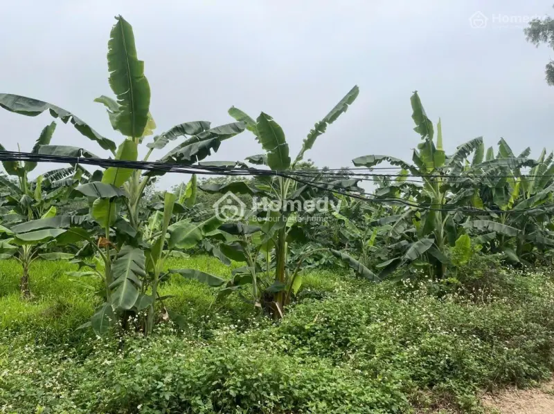 Cần Bán Lô Đất Đẹp Mặt Sông Hoà Bình - Cơ Hội Vàng Cho Các Nhà Đầu Tư