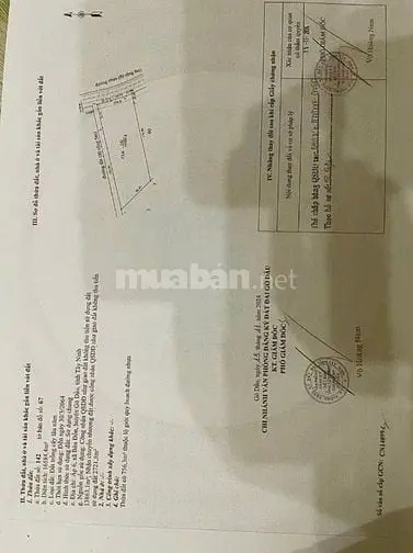 6028266 ảnh đại diện 1