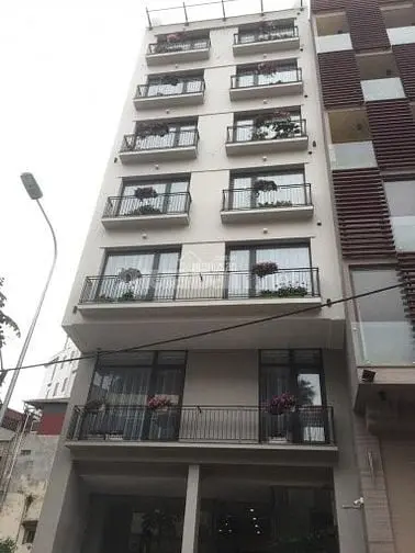 Bán Nhà Mặt Phố Nguyễn Khánh Toàn, Diện Tích 110M² Mặt Tiền 5,5M 61,5