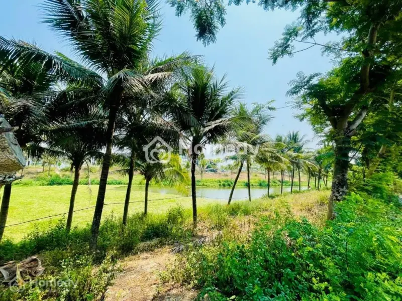 Lô Đất Nền Fpt City Đà Nẵng Rẻ Nhất Thị Trường