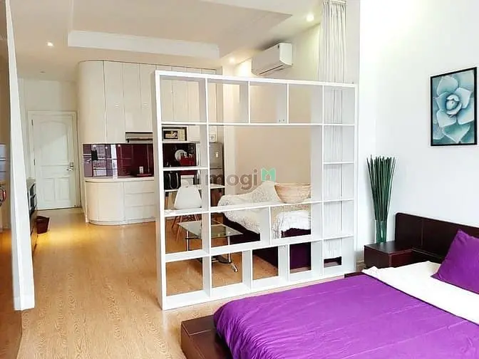Căn Hộ Mini Nguyễn Đình Chiểu Gần Tttd Hoa Lư, Đh Nhân Văn Quận 1