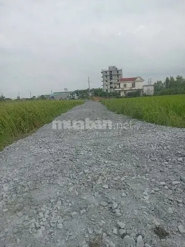 Bán 120M2 Thổ Cư , Xã Hoà Khánh Đông, Giá 650 Triệu, Đức Hoà , Long An