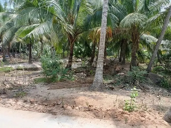 Bán Đất 2 Mảnh Đất Chính Chủ Tại Gò Công