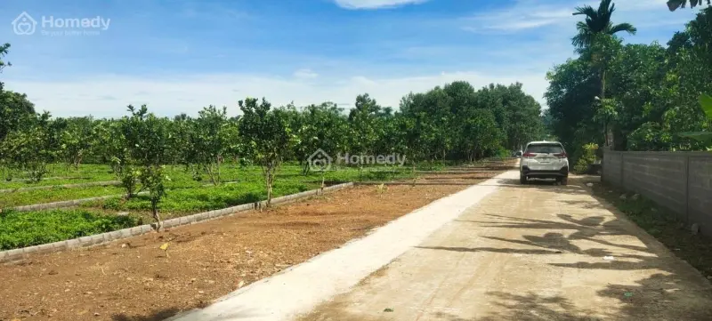 6029244 ảnh đại diện 1