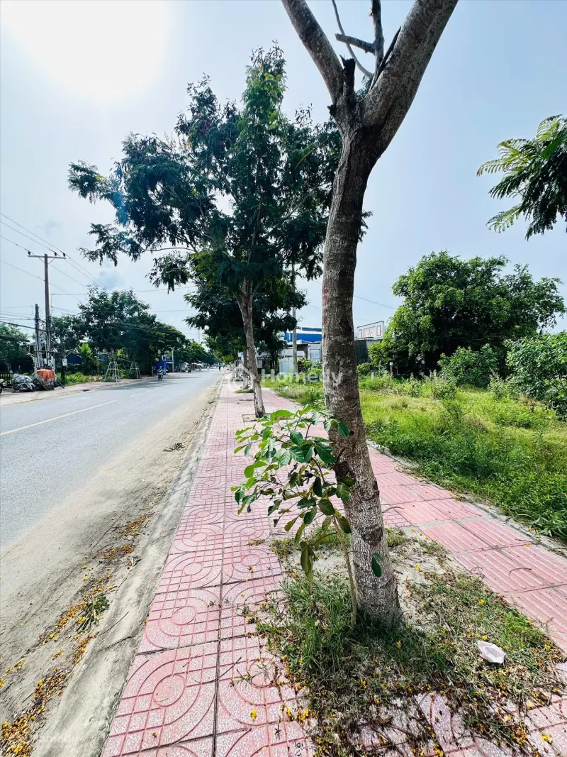 Bán Đất Thổ Cư Đường Lê Minh Công, Phước Lộc, Lagi Giá Ngộp 1.8 Tỷ