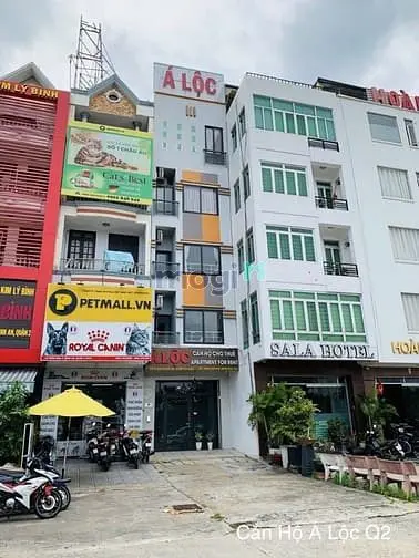6027614 ảnh đại diện 1