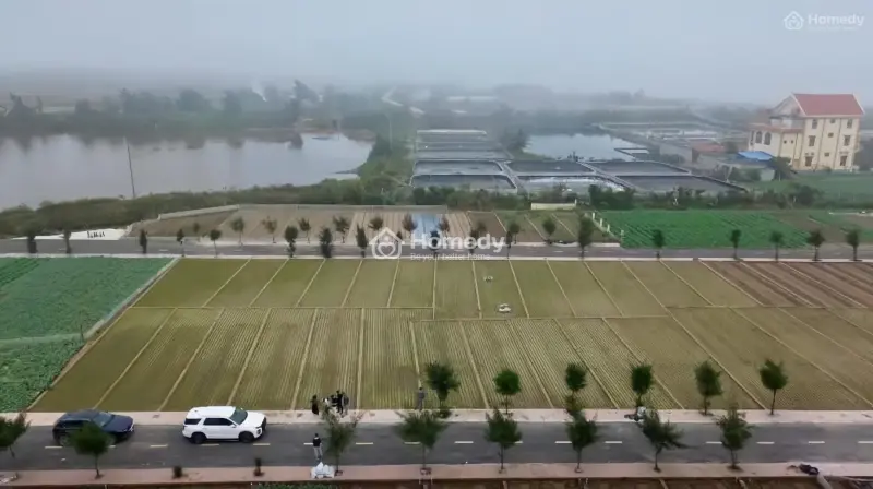 Chính Chủ Cần Bán Lô Đất Biển Quất Lâm, Nam Định. Diện Tích. Vị Trí Trung Tâm, Gần Bãi Tắm. Giá Rẻ