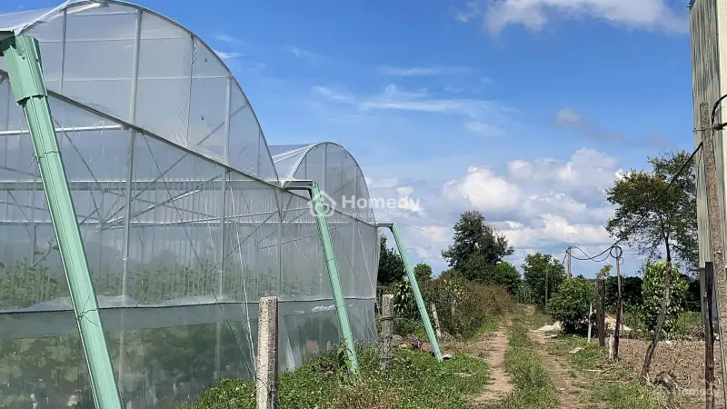 6027970 ảnh đại diện 1