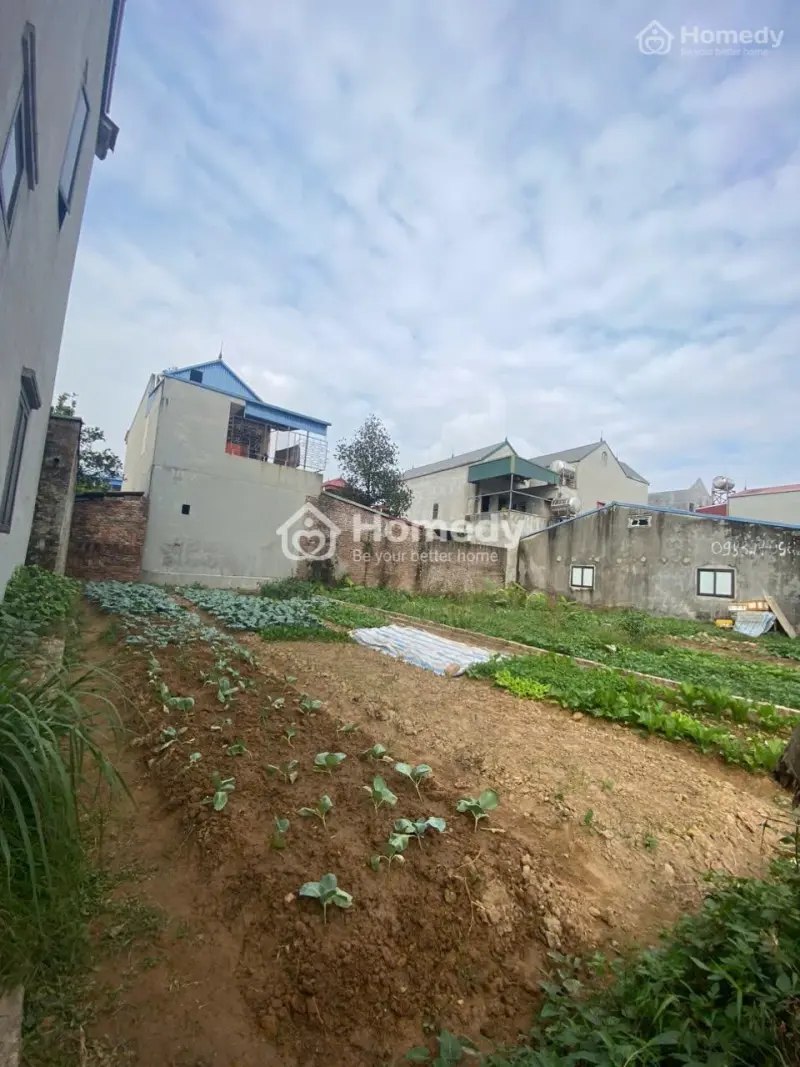 Bán Đất 95M² Full Thổ Cư - Mai Đình, Sóc Sơn. Giá 28Tr/M