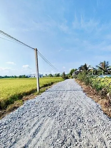 6027692 ảnh đại diện 1