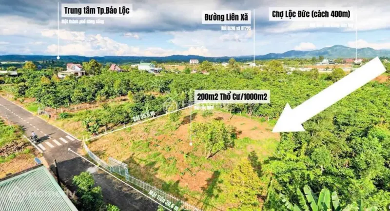 6029432 ảnh đại diện 1