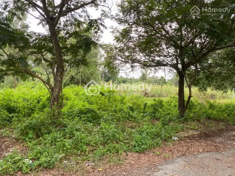 🌟Bán Đất Khu Dân Cư Long Thới, Nhà Bè - Diện Tích 300M2, Giá Tốt