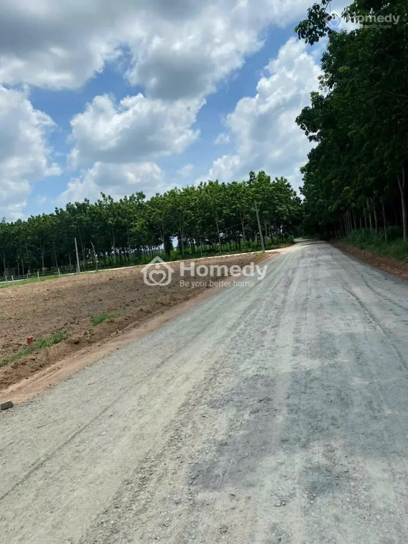 Đất Sổ Đỏ 505,7M2 Phường Minh Thành, Huyện Chơn Thành, Bình Phước