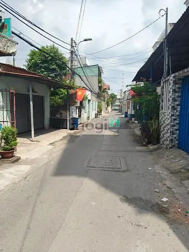 6026935 ảnh đại diện 1