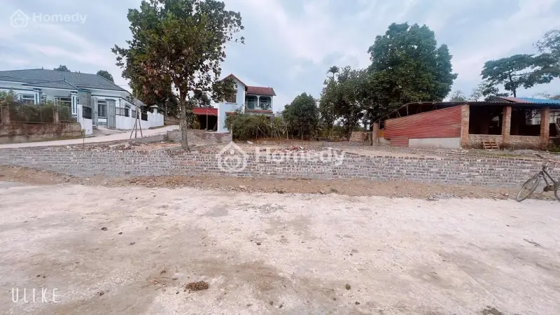 6026993 ảnh đại diện 1