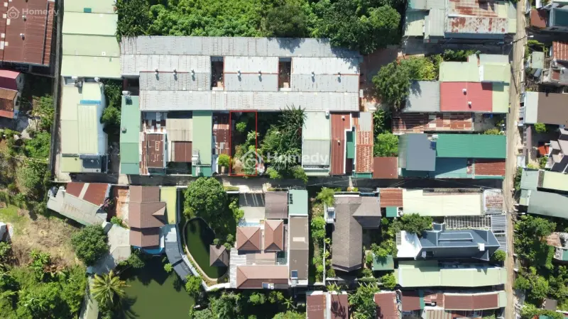 6029153 ảnh đại diện 1