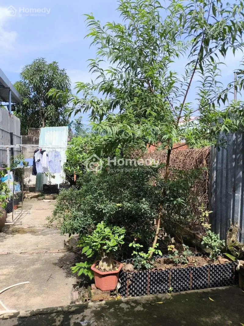 Bán Đất Tặng Nhà Ngay Cầu Dạch Rơi,Đường Tỉnh 826C Vào Trung Tâm Quận 1 Hcm Chỉ 20 Phút Honda
