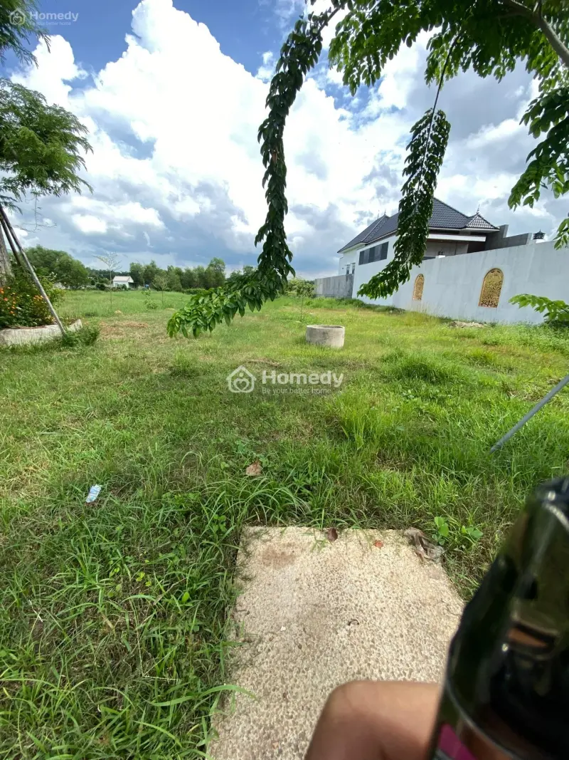 6028713 ảnh đại diện 1