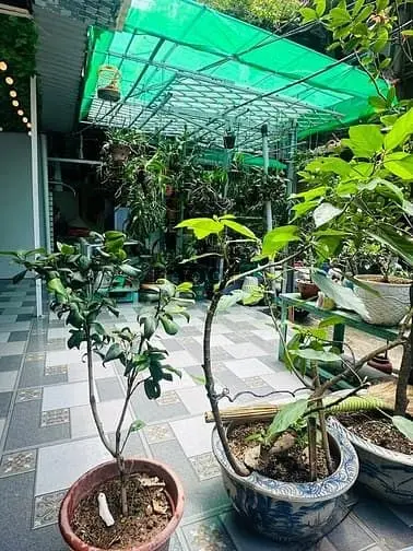 🌟Nhỉnh 3 Tỷ Tập Thể Yên Ninh_Ba Đình_T1_ Sân Rộng 60M2 2Pn Ở Ngay🌟