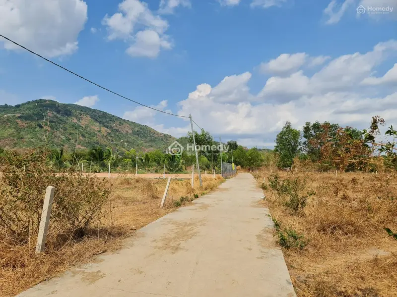 Bán Đất 1000 M2 , 36 M Mặt Tiền Bê Tông Xã Suối Cát Giá 1 Tỷ 300 Tr