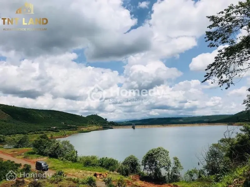 6029386 ảnh đại diện 1