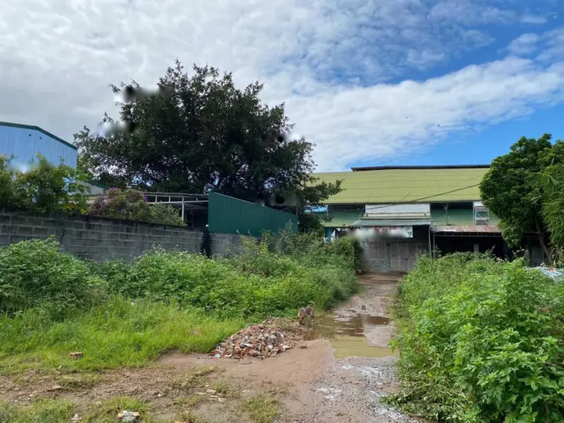 6029162 ảnh đại diện 1