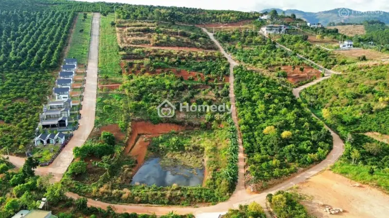 6027874 ảnh đại diện 1