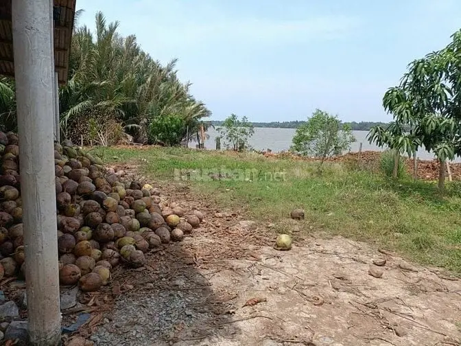 Bán Đất 2 Mảnh Đất Chính Chủ Tại Gò Công