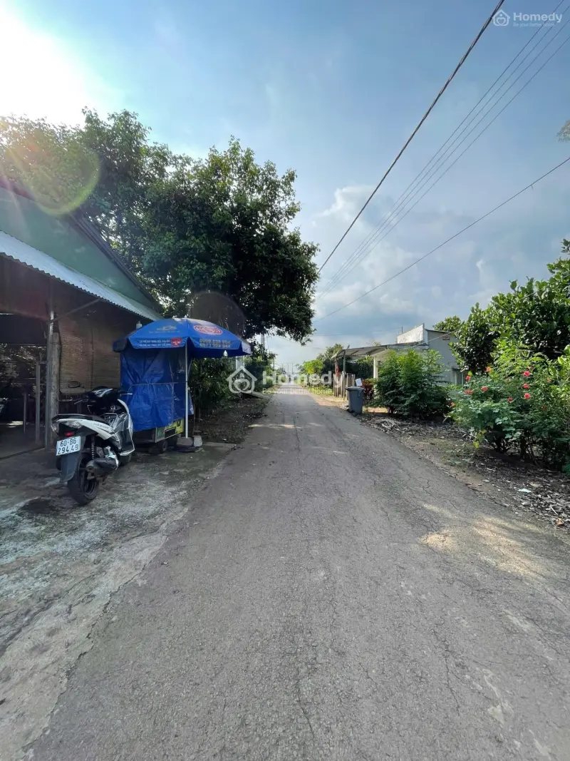 6028418 ảnh đại diện 1