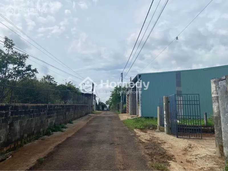 6027994 ảnh đại diện 1