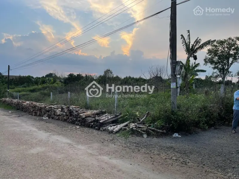 6029433 ảnh đại diện 1