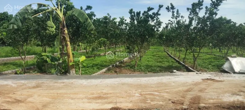 Chỉ195 Triệu Sở Hữu Lô Đất Thổ Cư Tại Khu Công Nghiệp Bảo Hiệu - Yên Thủy - Hòa Bình