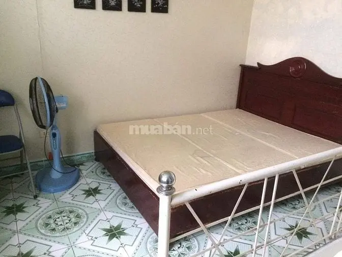 6028747 ảnh đại diện 1