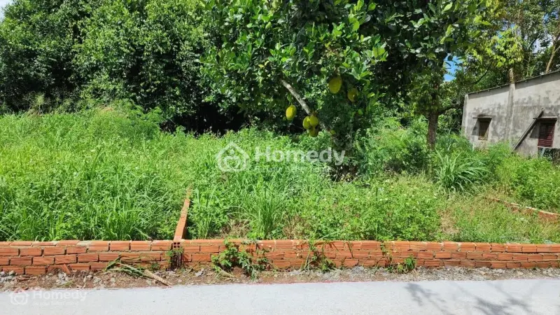 Chính Chủ Cần Bán 120M2 Đất Ở, Bên Cạnh Dự Án Vin 810Ha