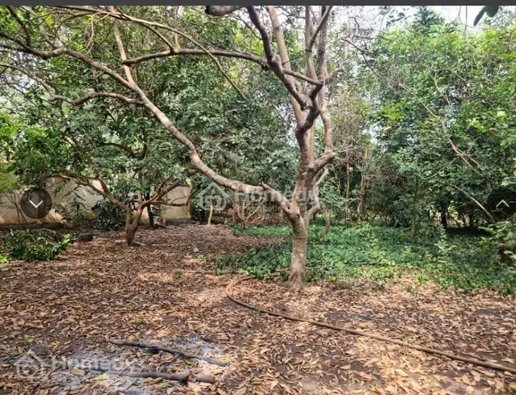 Chính Chủ Cần Bán Đất Vườn Sổ Hồng, Diện Tích 2017,1 M2 - Tp Long Khánh - Đồng Nai 2,9 Tỷ
