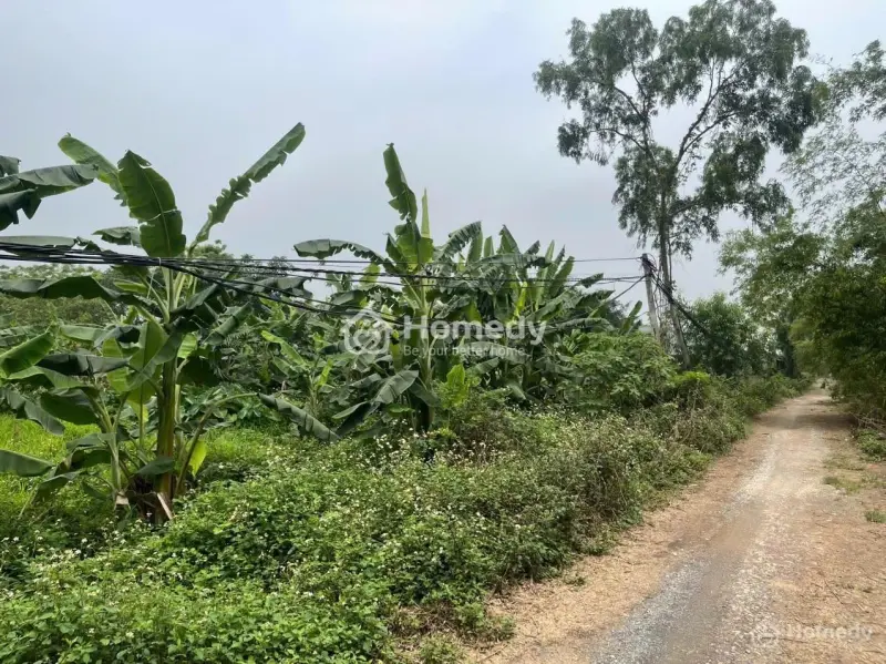 Cần Bán Lô Đất Đẹp Mặt Sông Hoà Bình - Cơ Hội Vàng Cho Các Nhà Đầu Tư