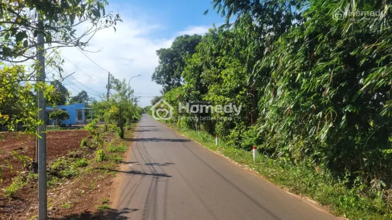 Bán Gấp Lô Đất Cực Đẹp Giá Chỉ 800 Triệu Ngay Trung Tâm Xã Quảng Thành: Chủ Đang Kẹt Tiền