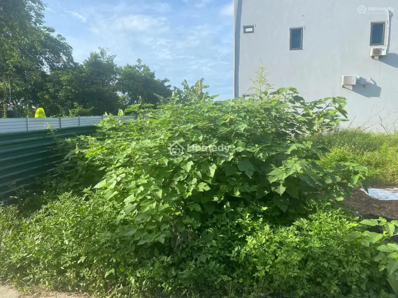 Chính Chủ Cần Bán Tại Thôn Đoài, Phú Minh, Sóc Sơn, Hà Nội