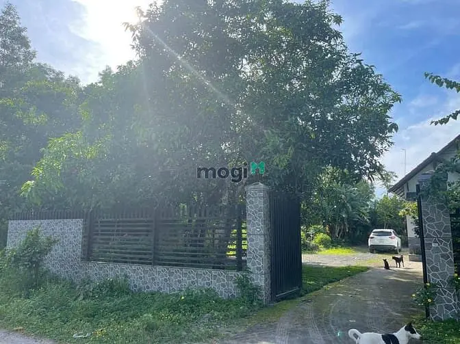Bán Gấp Nhà Vườn Thổ Cư Nhơn Trạch Giá Rẻ 5Tr/M.mt Đường, Sr Chính Chủ