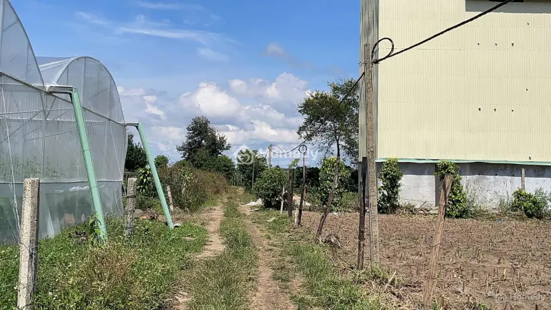  200Tr Có 1 Sào Đất Đẹp Gia Lai Huyện Chư Pãh (27X58)