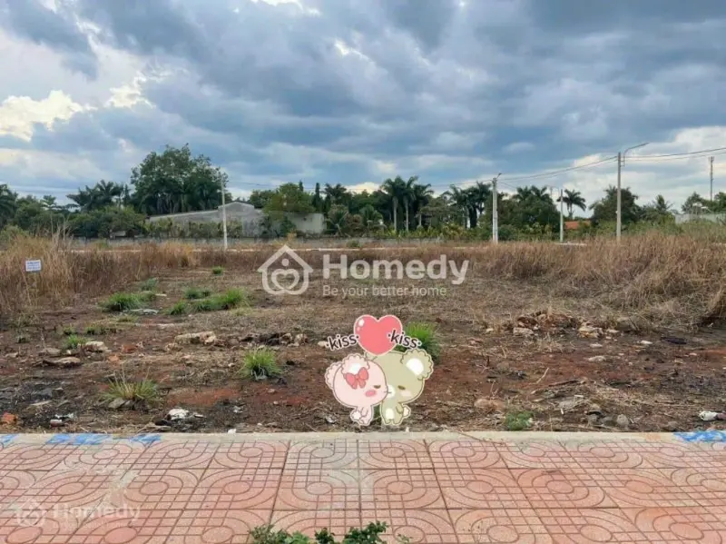 6029154 ảnh đại diện 1