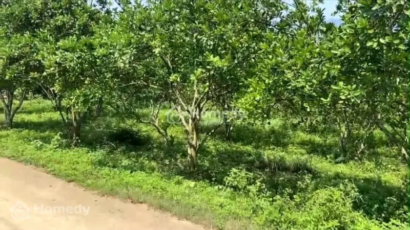 Chỉ Từ Hơn 100 Triệu Sở Hữu Ngay Lô Đất Thổ Cư Cực Đẹp Tại Yên Thủy, Hòa Bình