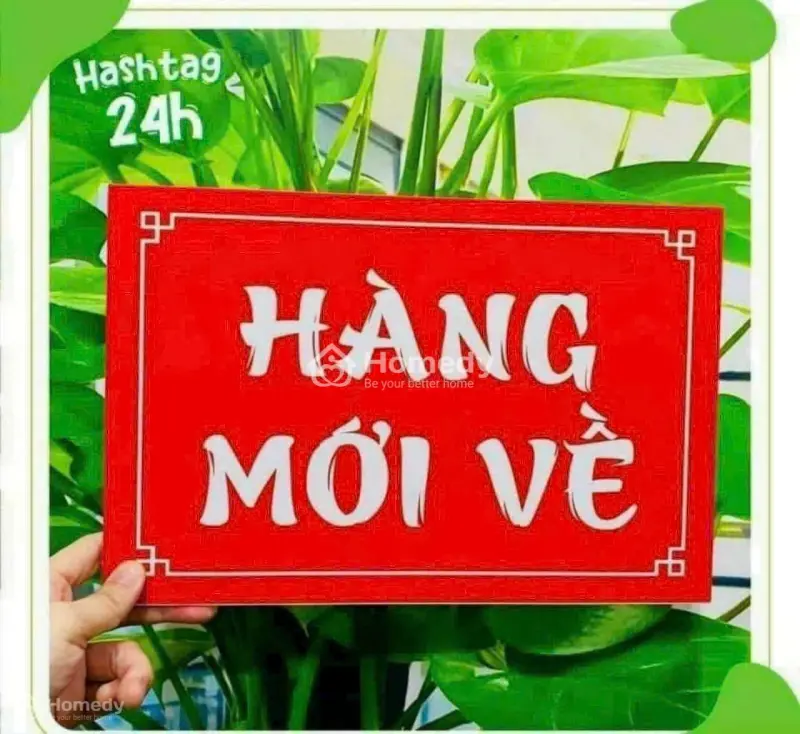 6026934 ảnh đại diện 1