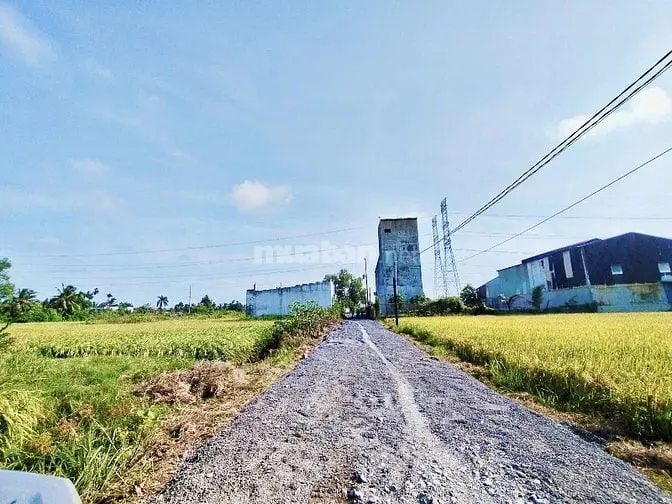 Chính Chủ Cần Bán 215M2 Thổ Cư, Đường Oto 5M, Giá 1Tỷ