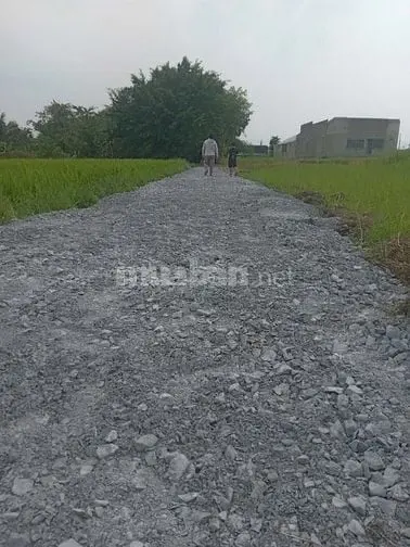 6027582 ảnh đại diện 1