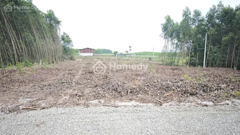 Bán 1033M2 Đất Odt Tân Phước - Tx Lagi Giá Ngộp 950 Triệu Sổ Riêng