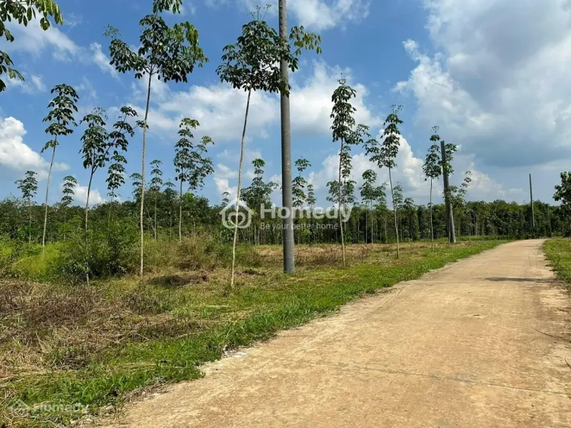 Bán Đất Nền Xã Lộc Phú Lộc Ninh Bình Phước Giá Rẻ