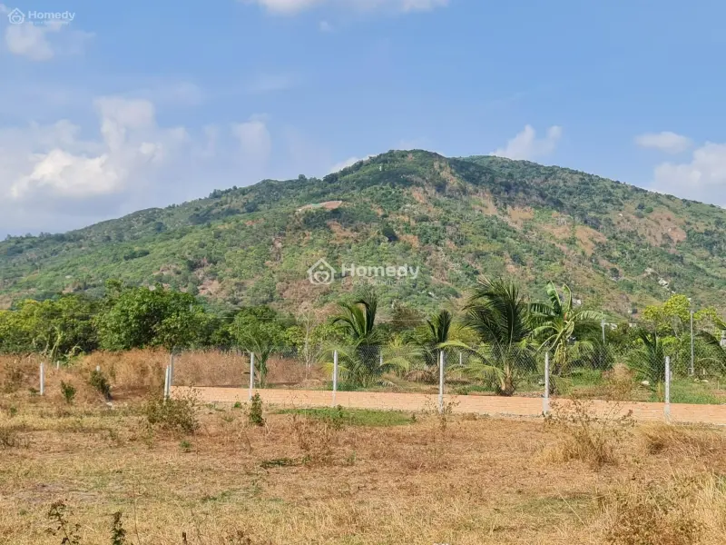 Bán Đất 1000 M2 , 36 M Mặt Tiền Bê Tông Xã Suối Cát Giá 1 Tỷ 300 Tr