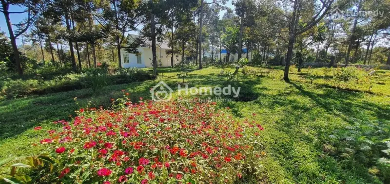 Bán Nhà Vườn Nghỉ Dưỡng Đẹp Như Châu Âu– Thu Nhập Ổn Định – Lộc Thành, Bảo Lâm , Lâm Đồng